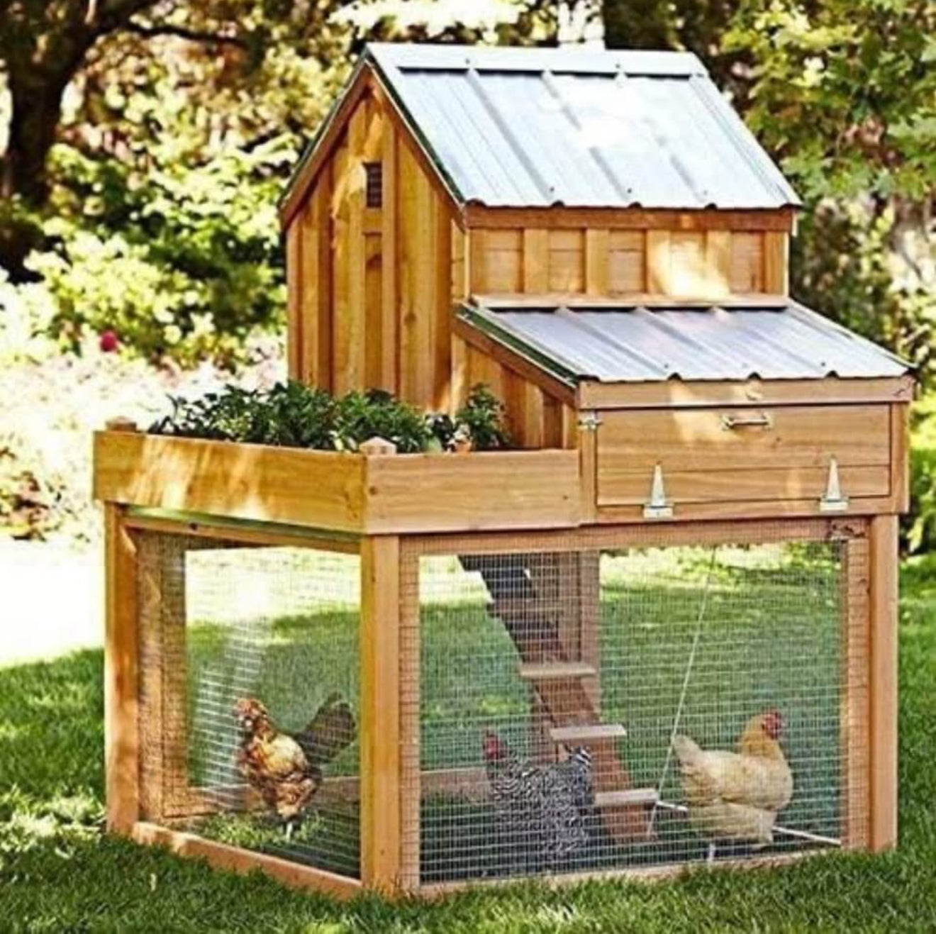 ALTIN™ Verzinkter Maschendrahtzaun 36”x50ft – 1/4”x1/4”, 23 Gauge – Wetterfest & Rostfrei – Ideal für Garten, Hühnergehege, Nagetierschutz