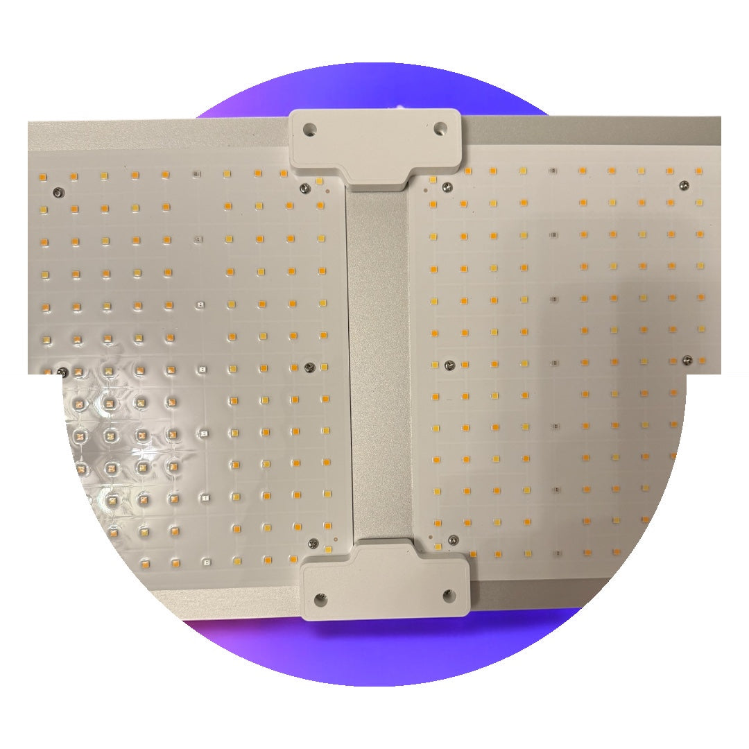 LED Grow Lampe 200W – Samsung LM301B, Vollspektrum, Dimmbar, IP65