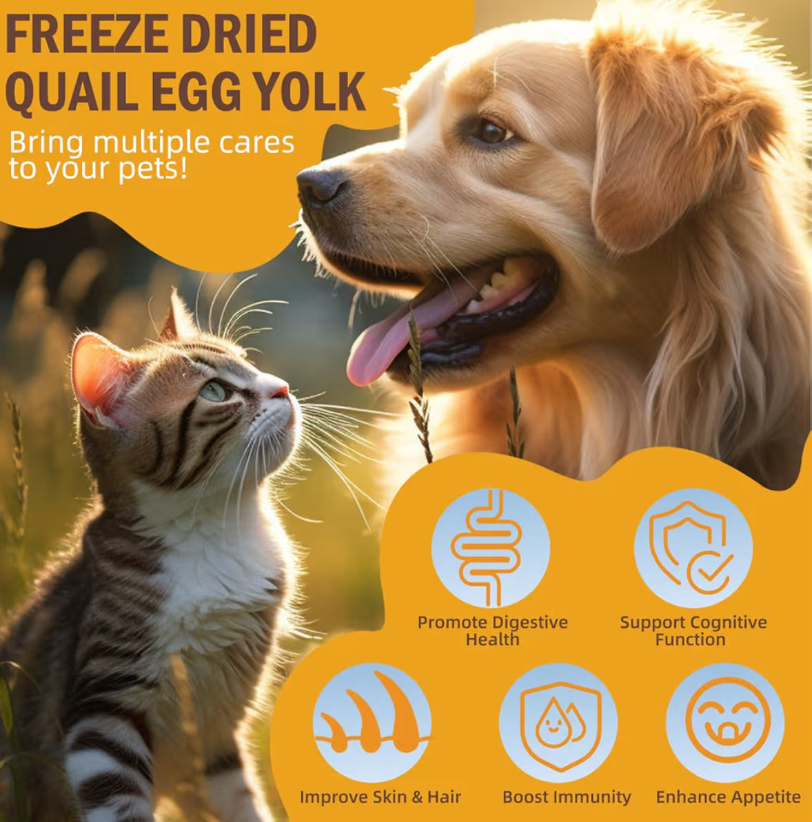 Gefriergetrocknetes Wachteleigelb für Hunde & Katzen – Premium Naturprodukt