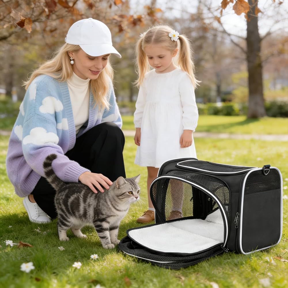 Erweiterbare Haustier Transporttasche Katze Hund Flugzeug Reisetasche Schwarz 40cm