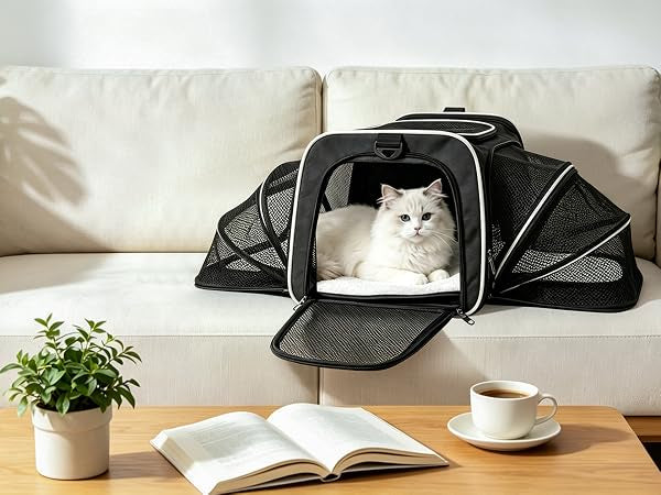 Erweiterbare Haustier Transporttasche Katze Hund Flugzeug Reisetasche Schwarz 40cm