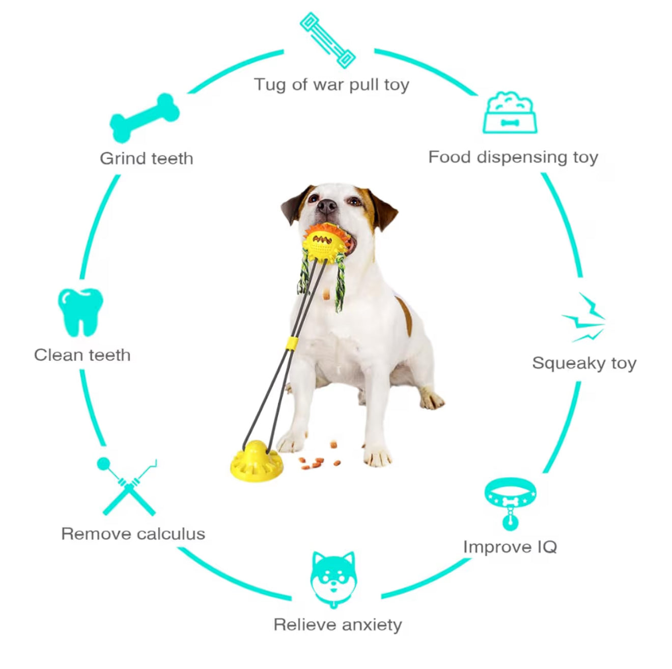 Interaktives Hundespielzeug mit Saugnapf & Quietschfunktion – Zahnpflege & IQ-Ball