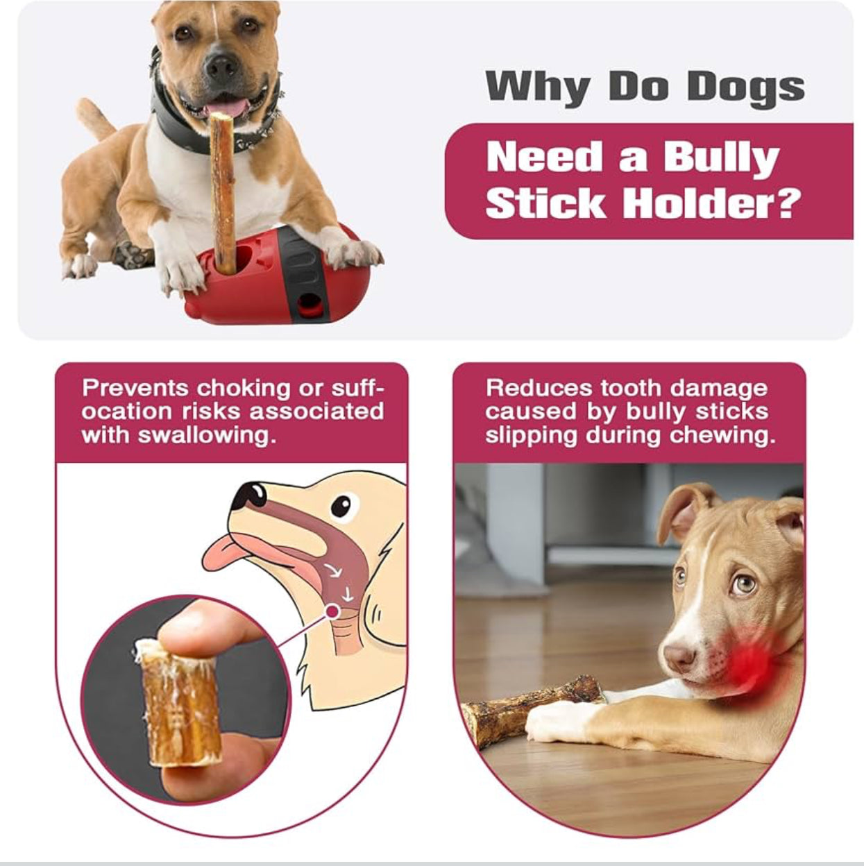 2x Snackball Hund Futterball Leckerli Spender & Kaustab-Halter - Farbe Wählbar