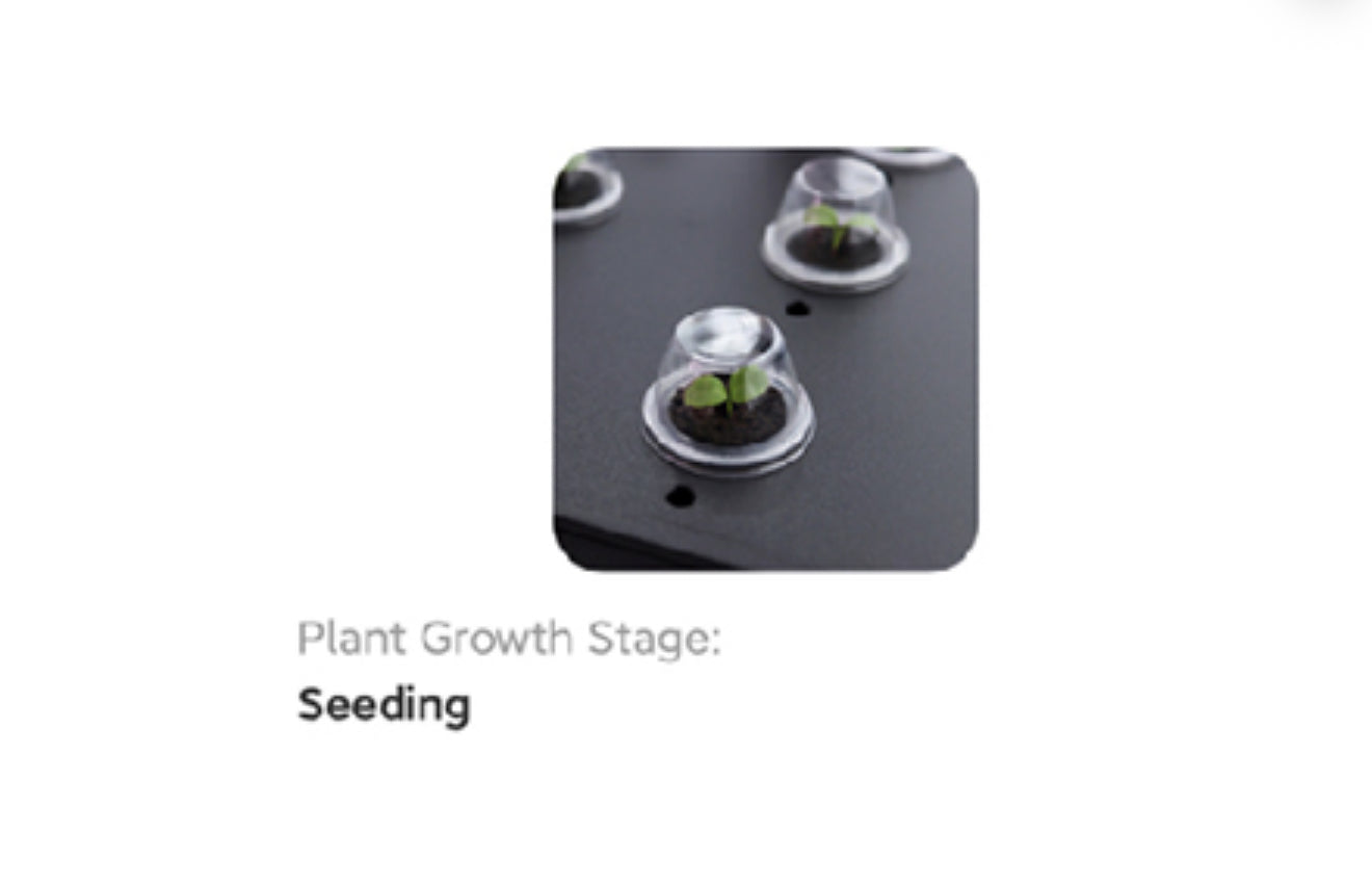 iDOO WiFi Hydroponik Indoor Garten, 12 Pods, LED, 6,5 L Tank, App-Steuerung