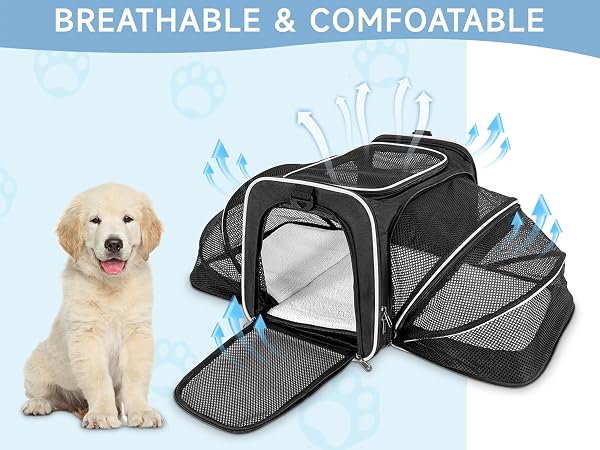 Erweiterbare Haustier Transporttasche Katze Hund Flugzeug Reisetasche Schwarz 40cm