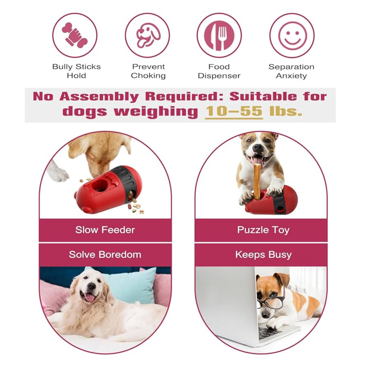 2x Snackball Hund Futterball Leckerli Spender & Kaustab-Halter - Farbe Wählbar