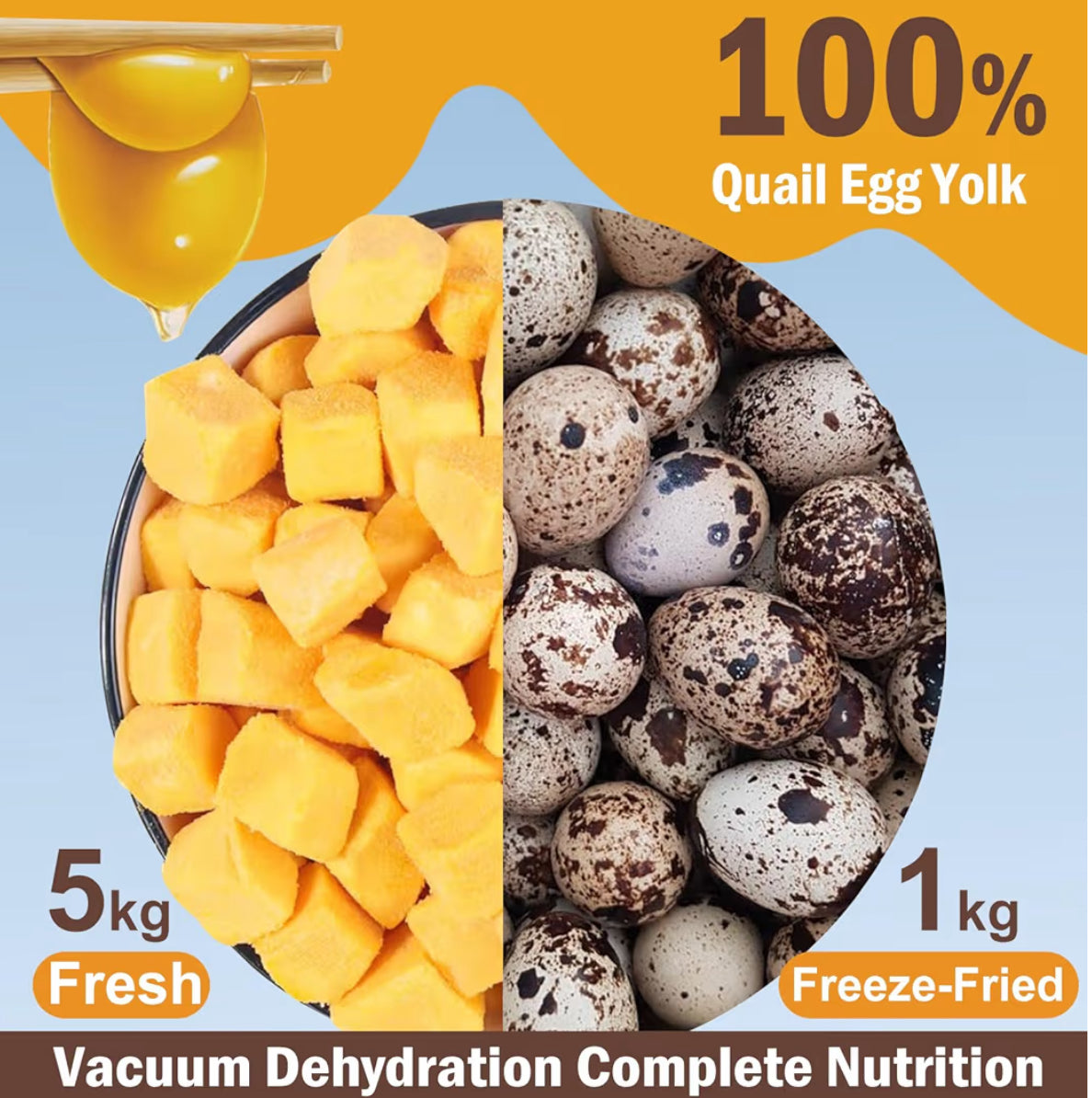 Gefriergetrocknetes Wachteleigelb für Hunde & Katzen – Premium Naturprodukt