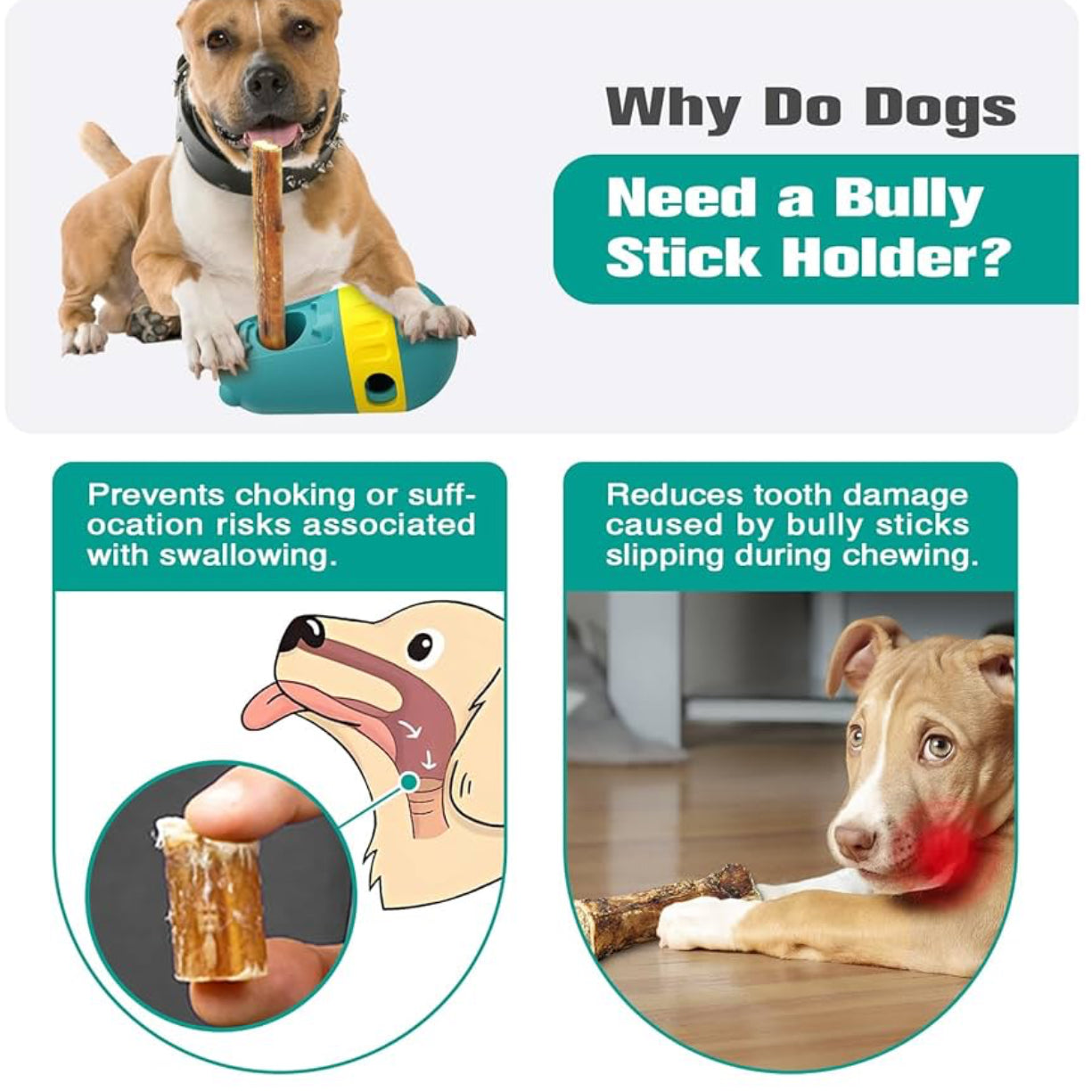 2x Snackball Hund Futterball Leckerli Spender & Kaustab-Halter - Farbe Wählbar