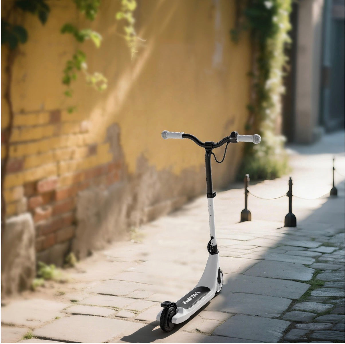 HOMCOM Elektroroller 120 W, 6 km Reichweite, 50 kg Traglast