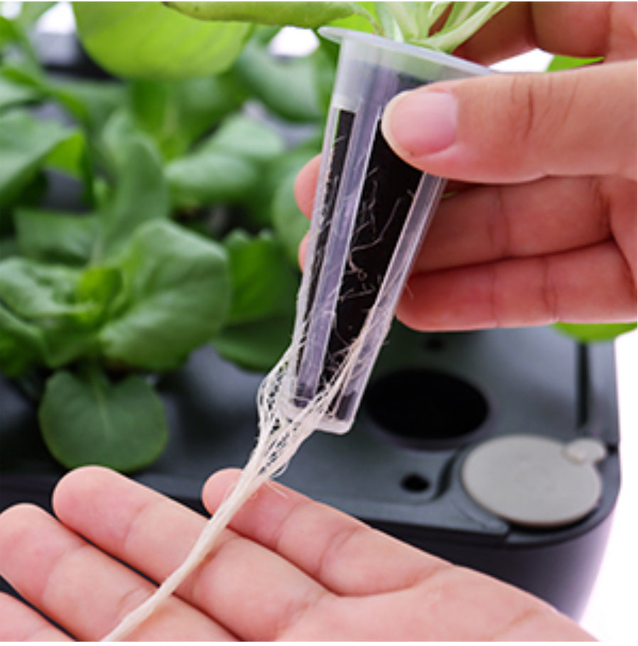 iDOO WiFi Hydroponik Indoor Garten, 12 Pods, LED, 6,5 L Tank, App-Steuerung