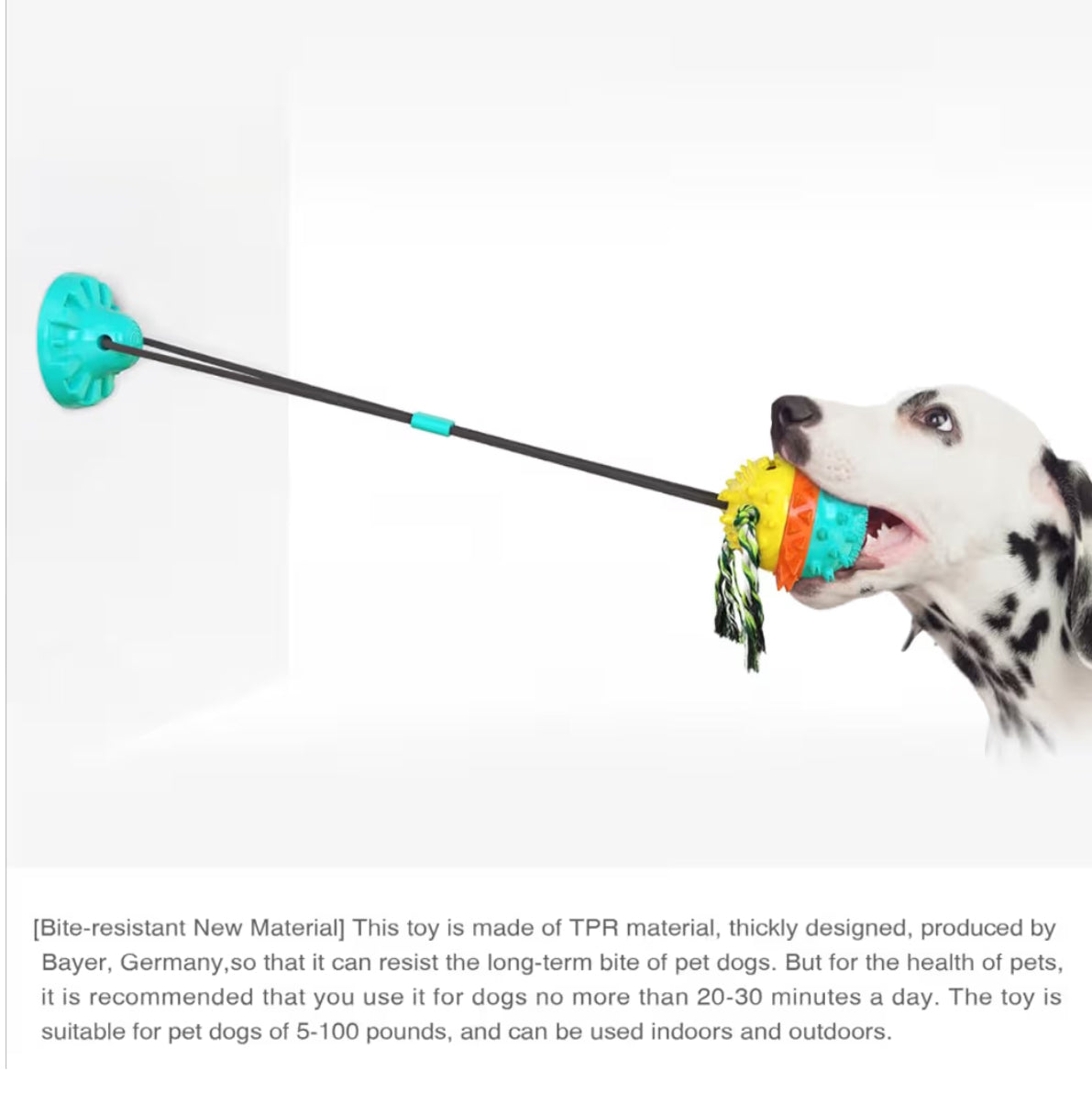 Interaktives Hundespielzeug mit Saugnapf & Quietschfunktion – Zahnpflege & IQ-Ball