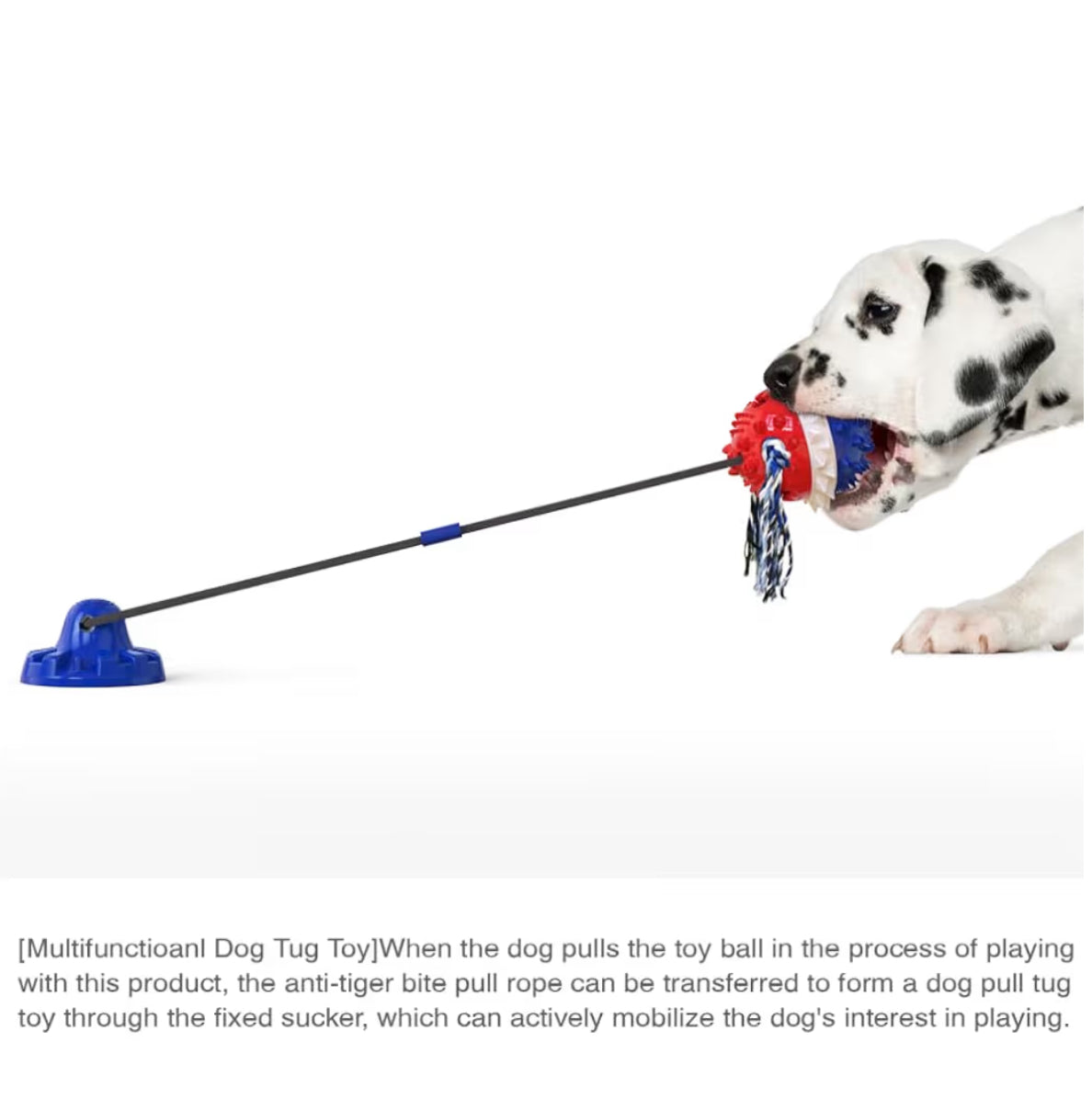 Interaktives Hundespielzeug mit Saugnapf & Quietschfunktion – Zahnpflege & IQ-Ball